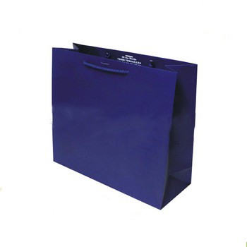 fashionable recyclable custom paper luxury gift paper bags for shopping paper bags with own your logo