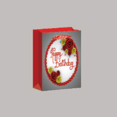 China  fancy design printed birthday gift paper bags wholesale