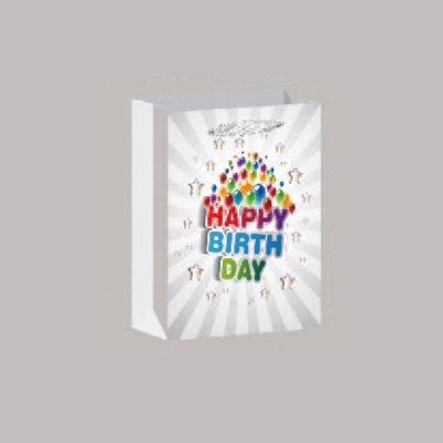 China  best quality birthday paper bag for promotion