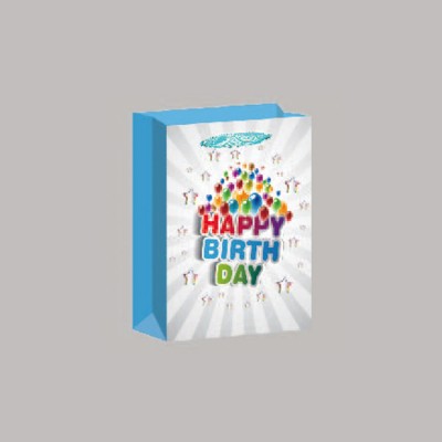 China  hot sale special birthday gift paper bag wholesale